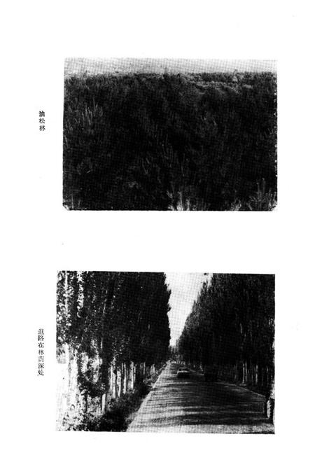 《榆林市林业志》.pdf电子版_陕西省志插图5