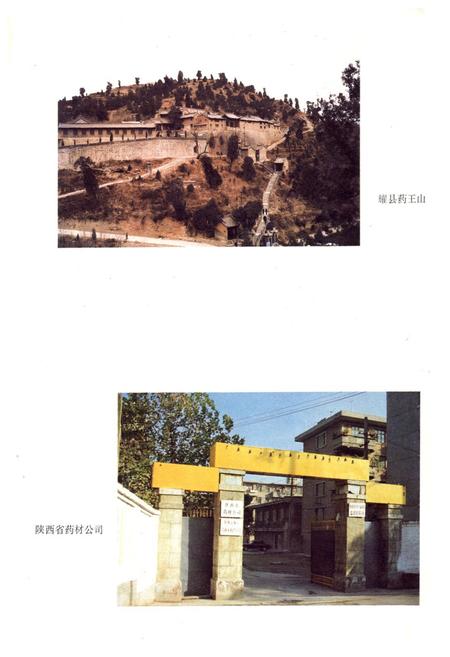 《中药志》.pdf电子版_陕西省志插图4