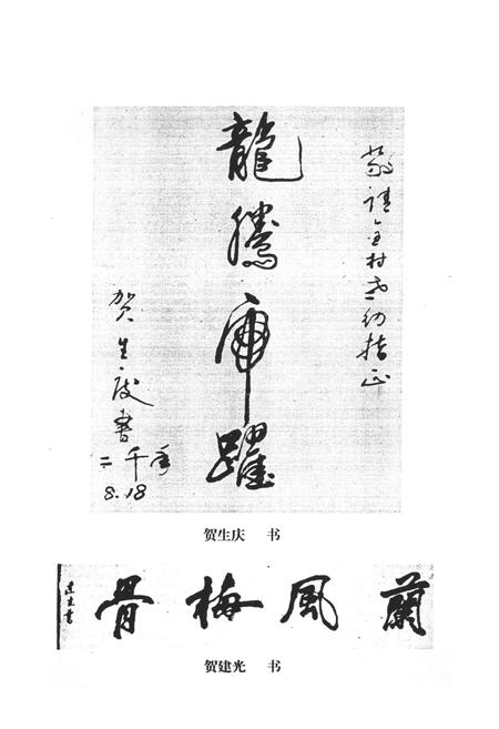 《贺家川村志》.pdf电子版_陕西省志插图5