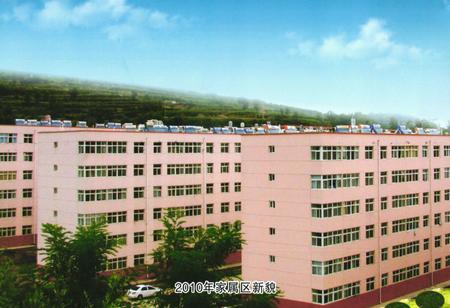 《《四十年东坡矿志》(1970-2010)》.pdf电子版_陕西省志插图5
