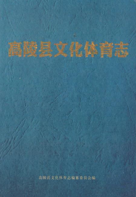 《高陵县文化体育志》.pdf电子版_陕西省志插图