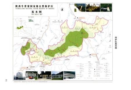 《牛背梁自然保护区志1986-2016》.pdf电子版_陕西省志插图4 《牛背梁自然保护区志1986-2016》.pdf电子版_陕西省志插图4