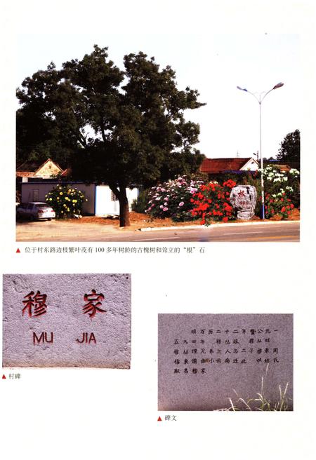 《穆家村志》.pdf电子版_陕西省志插图4 《穆家村志》.pdf电子版_陕西省志插图4