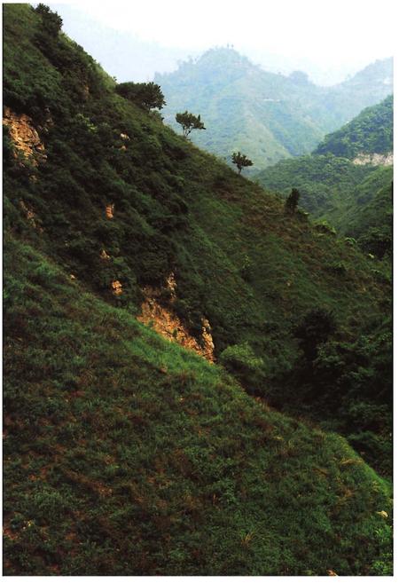 《骊山北麓乡土人物志》.pdf电子版_陕西省志插图5 《骊山北麓乡土人物志》.pdf电子版_陕西省志插图5