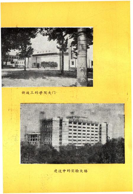 《西北林学院院史 1978-1989》.pdf电子版_陕西省志插图5