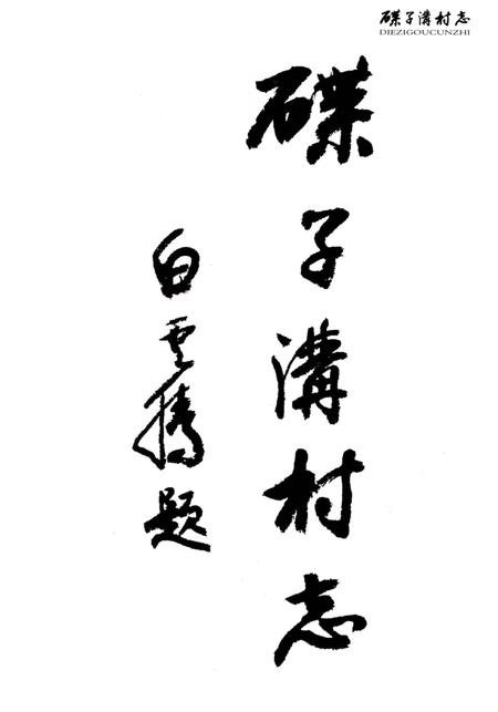 《碟子沟村志》.pdf电子版_陕西省志插图2