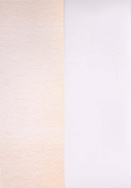 《安康家园志》.pdf电子版_陕西省志插图1