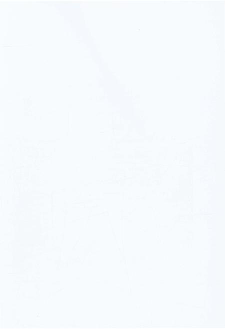 《榆林盐业志》.pdf电子版_陕西省志插图2 《榆林盐业志》.pdf电子版_陕西省志插图2