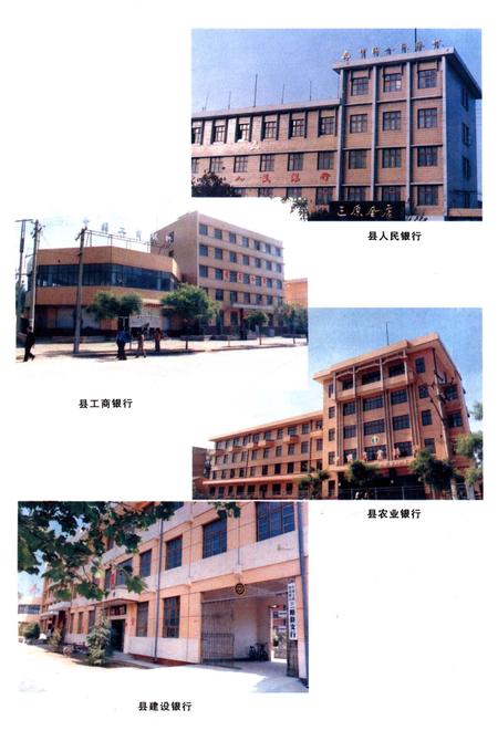 《三原金融志》.pdf电子版_陕西省志插图2