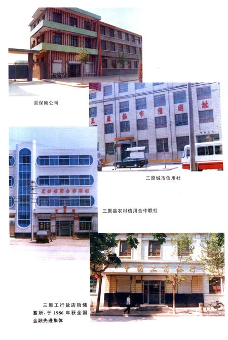 《三原金融志》.pdf电子版_陕西省志插图3