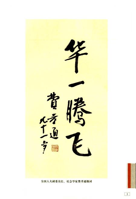 《华一村志》.pdf电子版_上海市志插图3