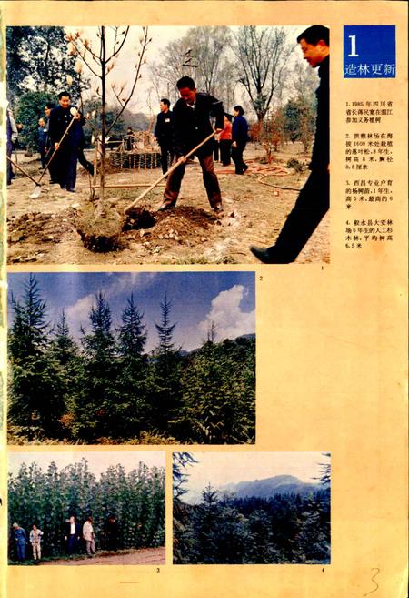 《四川林业志 上》.pdf电子版_四川省志插图2