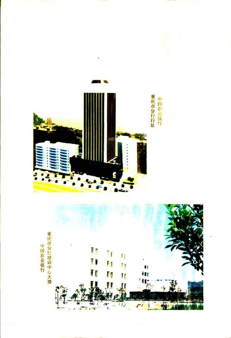《四川农村金融志》.pdf电子版_四川省志插图3