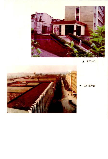 《四川省石油管理局资中机械厂志》.pdf电子版_四川省志插图3