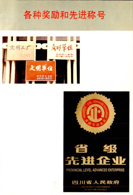 《四川省石油管理局资中机械厂志》.pdf电子版_四川省志插图5
