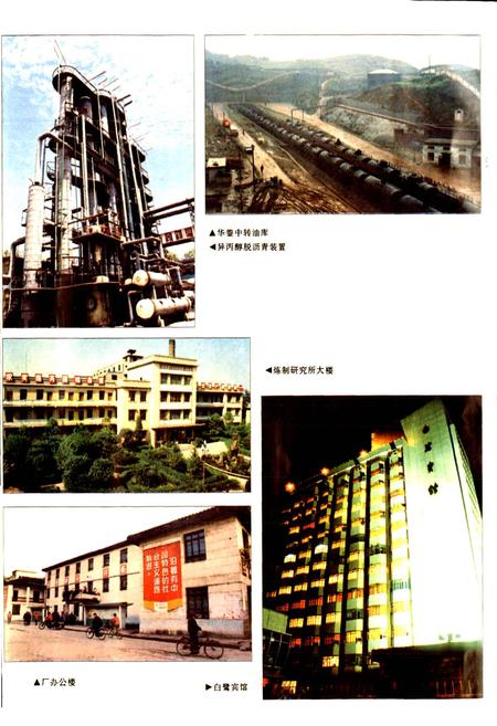 《四川省石油管理局南充炼油厂志》.pdf电子版_四川省志插图5