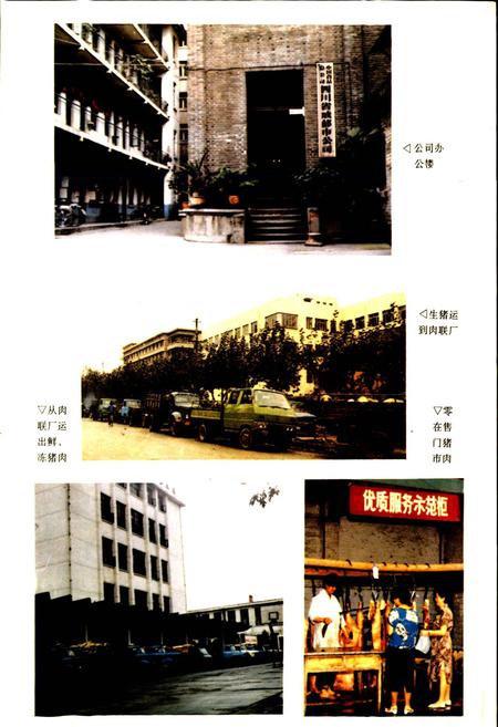 《成都市食品公司志》.pdf电子版_四川省志插图3