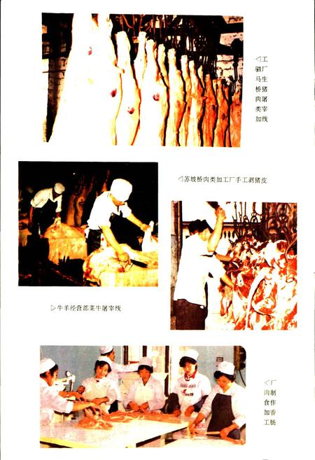 《成都市食品公司志》.pdf电子版_四川省志插图4