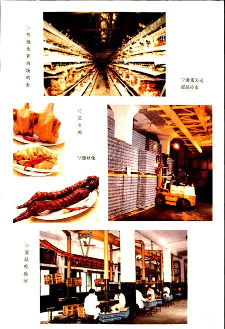 《成都市食品公司志》.pdf电子版_四川省志插图5