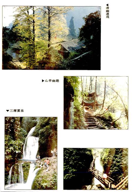 《青城山志》.pdf电子版_四川省志插图3