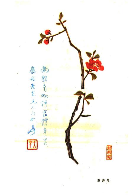 《望江楼志》.pdf电子版_四川省志插图5