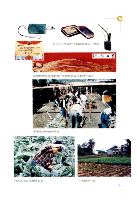 《新都区烟草志》.pdf电子版_四川省志插图4