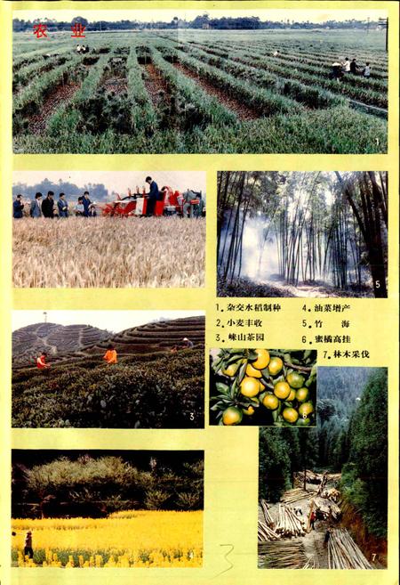 《邛崃县志》.pdf电子版_四川省志插图4