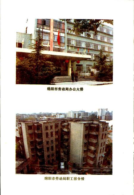《绵阳市劳动志》.pdf电子版_四川省志插图5