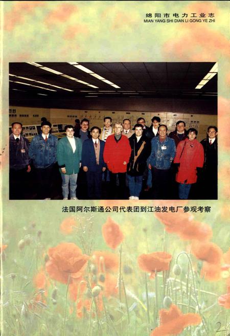 《绵阳市电力工业志》.pdf电子版_四川省志插图5