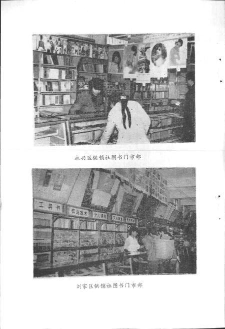 《绵阳图书发行志》.pdf电子版_四川省志插图5
