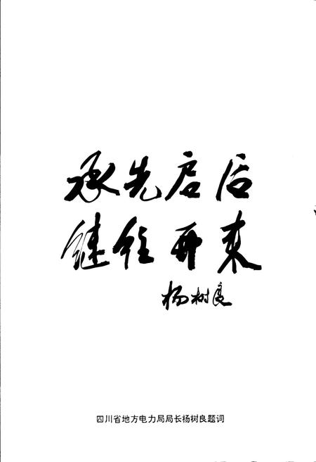 《三台县电力公司志》.pdf电子版_四川省志插图3