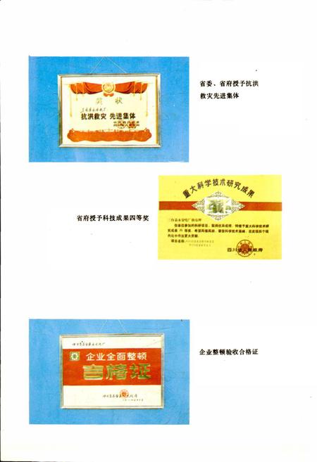 《三台县永安电厂志》.pdf电子版_四川省志插图3