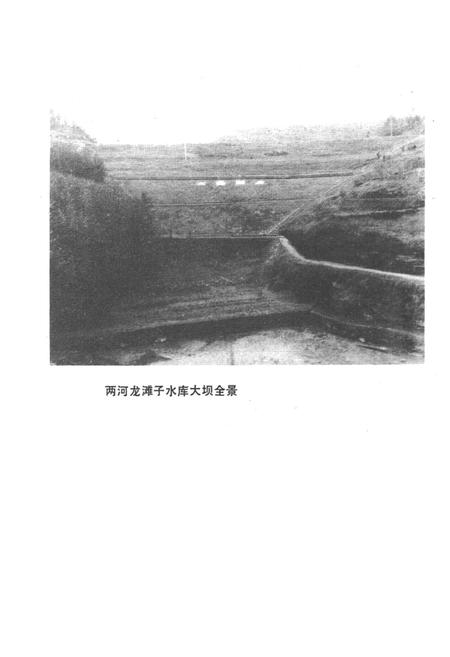 《四川省盐亭县水利电力志》.pdf电子版_四川省志插图4