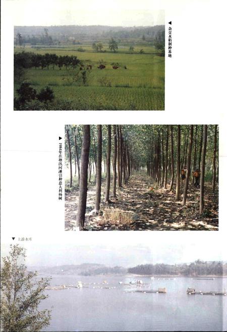 《绵阳（县级）市志》.pdf电子版_四川省志插图4