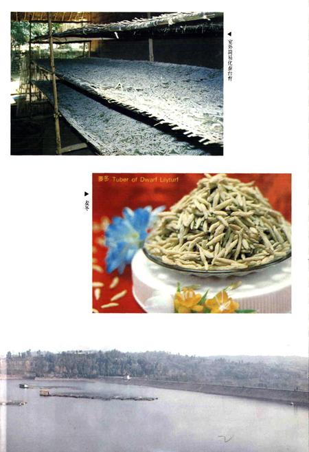 《绵阳（县级）市志》.pdf电子版_四川省志插图5