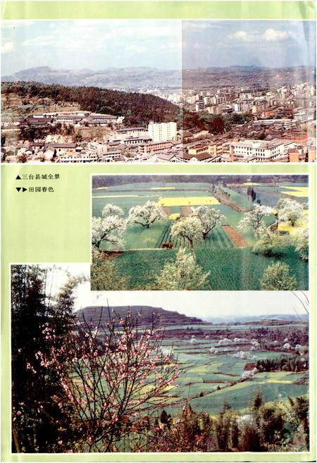 《三台县志》.pdf电子版_四川省志插图4