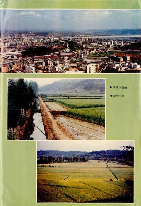 《三台县志》.pdf电子版_四川省志插图5