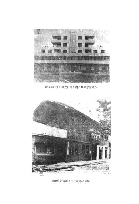 《青川县金融志》.pdf电子版_四川省志插图5