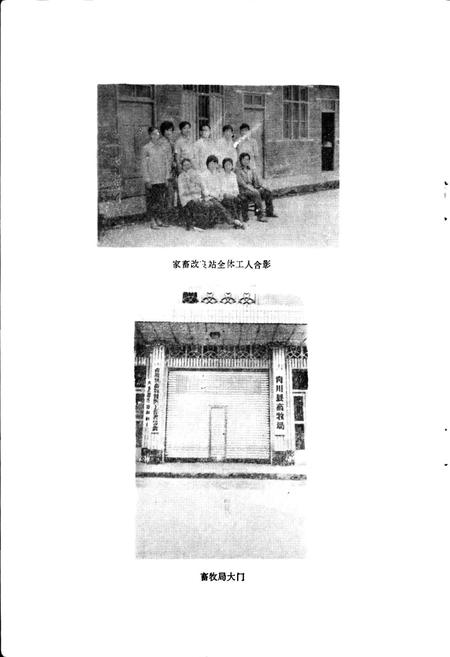 《青川县畜牧志》.pdf电子版_四川省志插图4