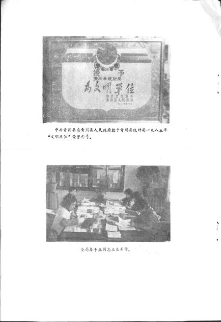 《青川县统计志》.pdf电子版_四川省志插图5