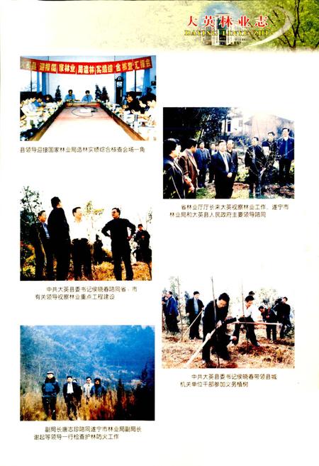《大英林业志》.pdf电子版_四川省志插图5