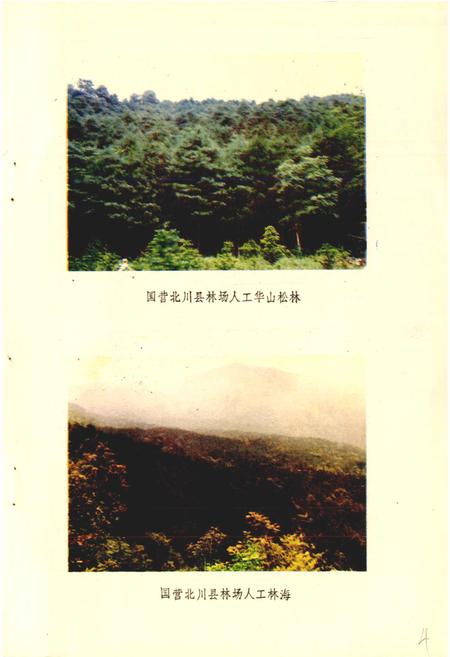 《北川县志 林业志》.pdf电子版_四川省志插图5
