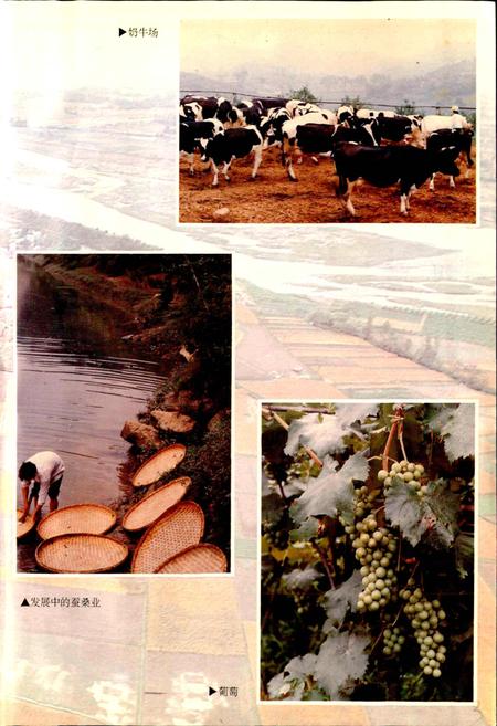 《德阳县志》.pdf电子版_四川省志插图5 《德阳县志》.pdf电子版_四川省志插图5