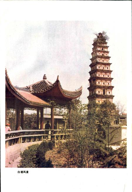 《南充县交通志》.pdf电子版_四川省志插图3