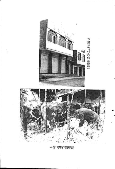 《木兰乡志》.pdf电子版_四川省志插图5 《木兰乡志》.pdf电子版_四川省志插图5