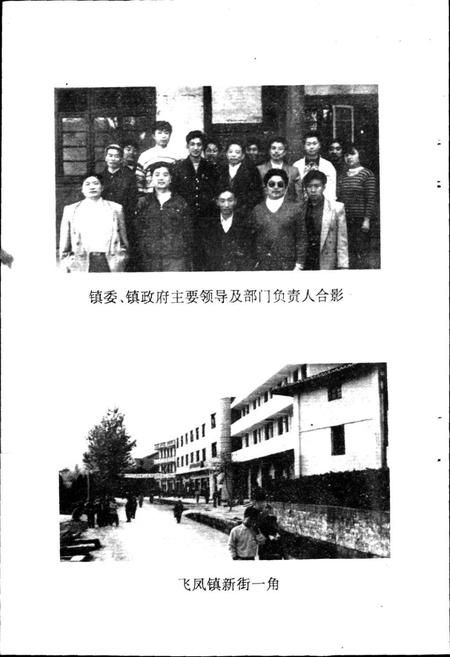 《飞凤镇志》.pdf电子版_四川省志插图5