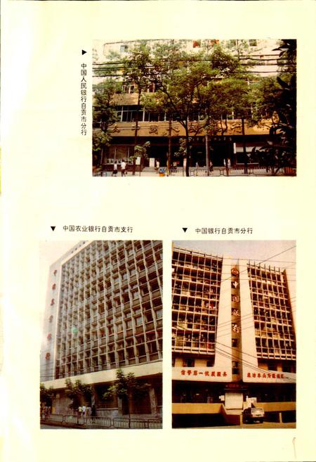 《自贡市金融志》.pdf电子版_四川省志插图5
