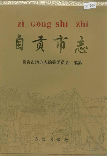 《自贡市志 下》.pdf电子版_四川省志插图