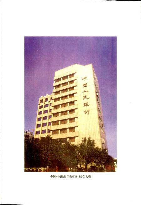 《乐山金融志》.pdf电子版_四川省志插图3
