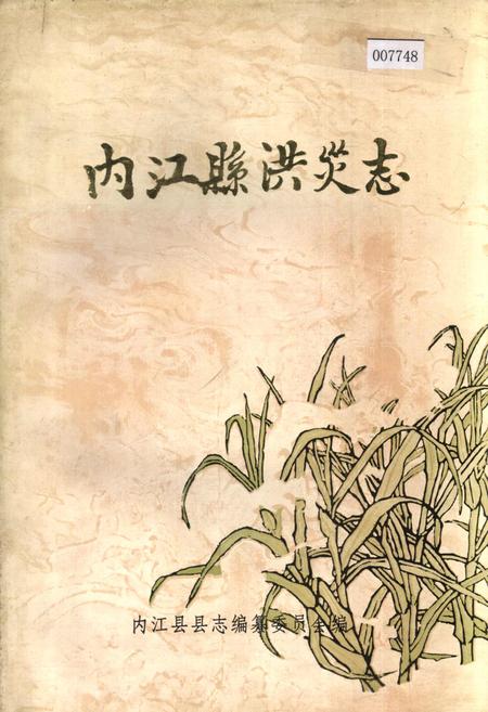 《内江县洪灾志》.pdf电子版_四川省志插图